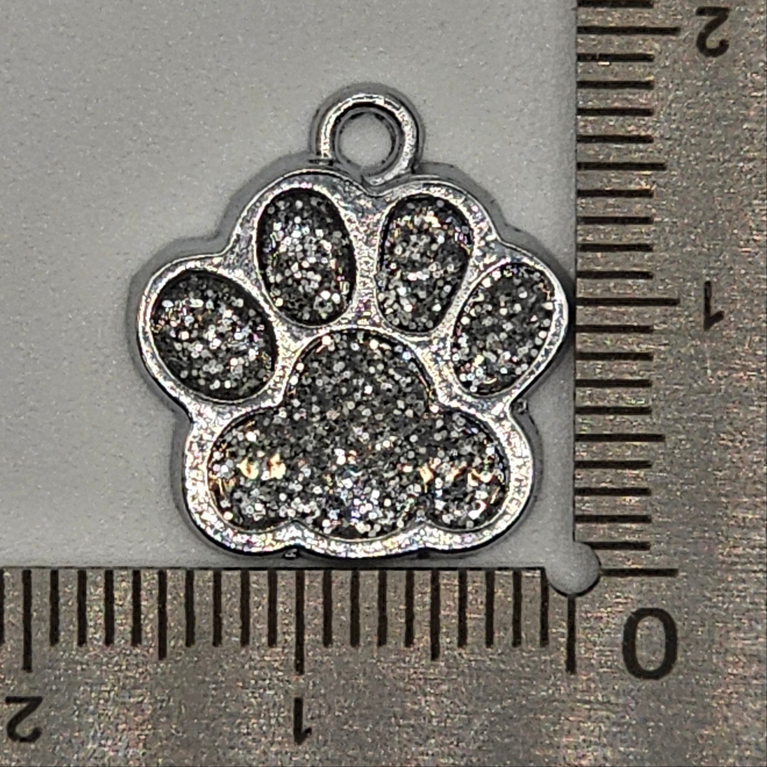 Colorful Paw Print
