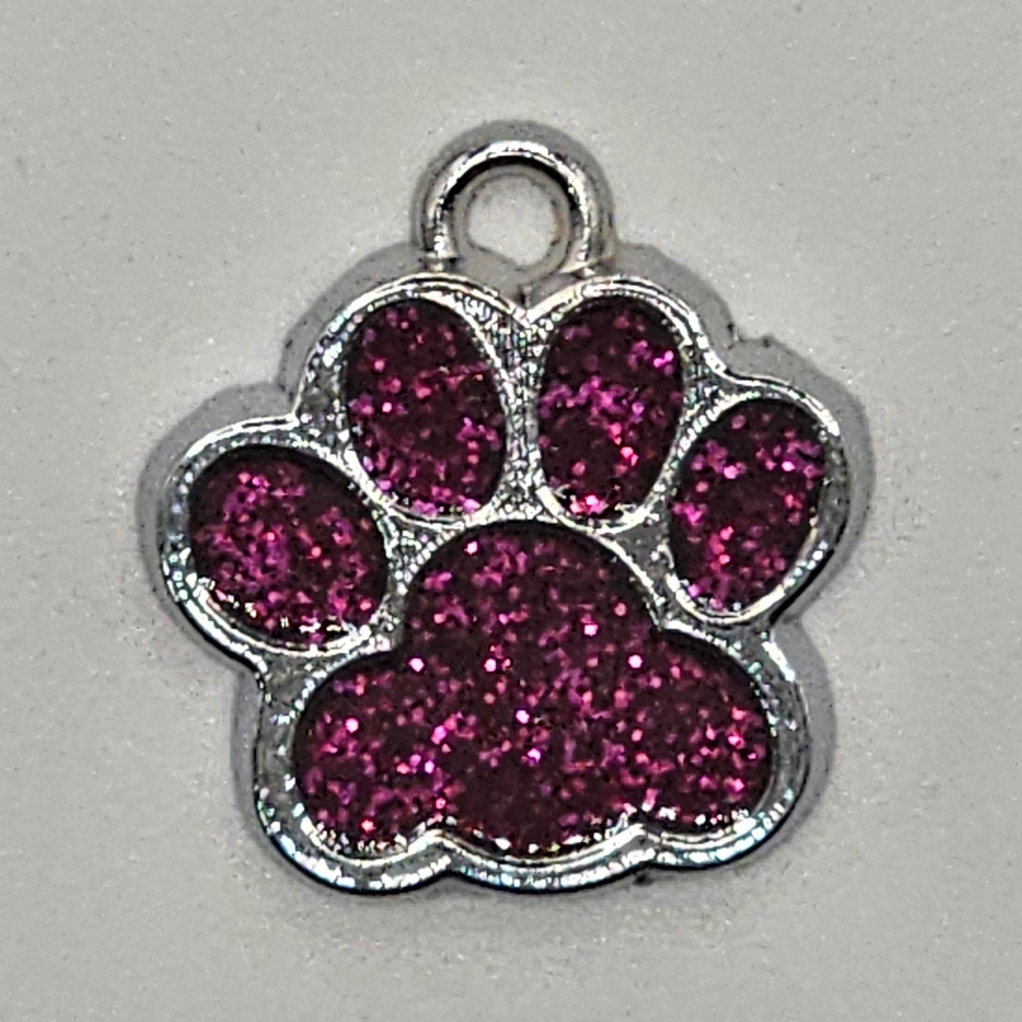 Colorful Paw Print