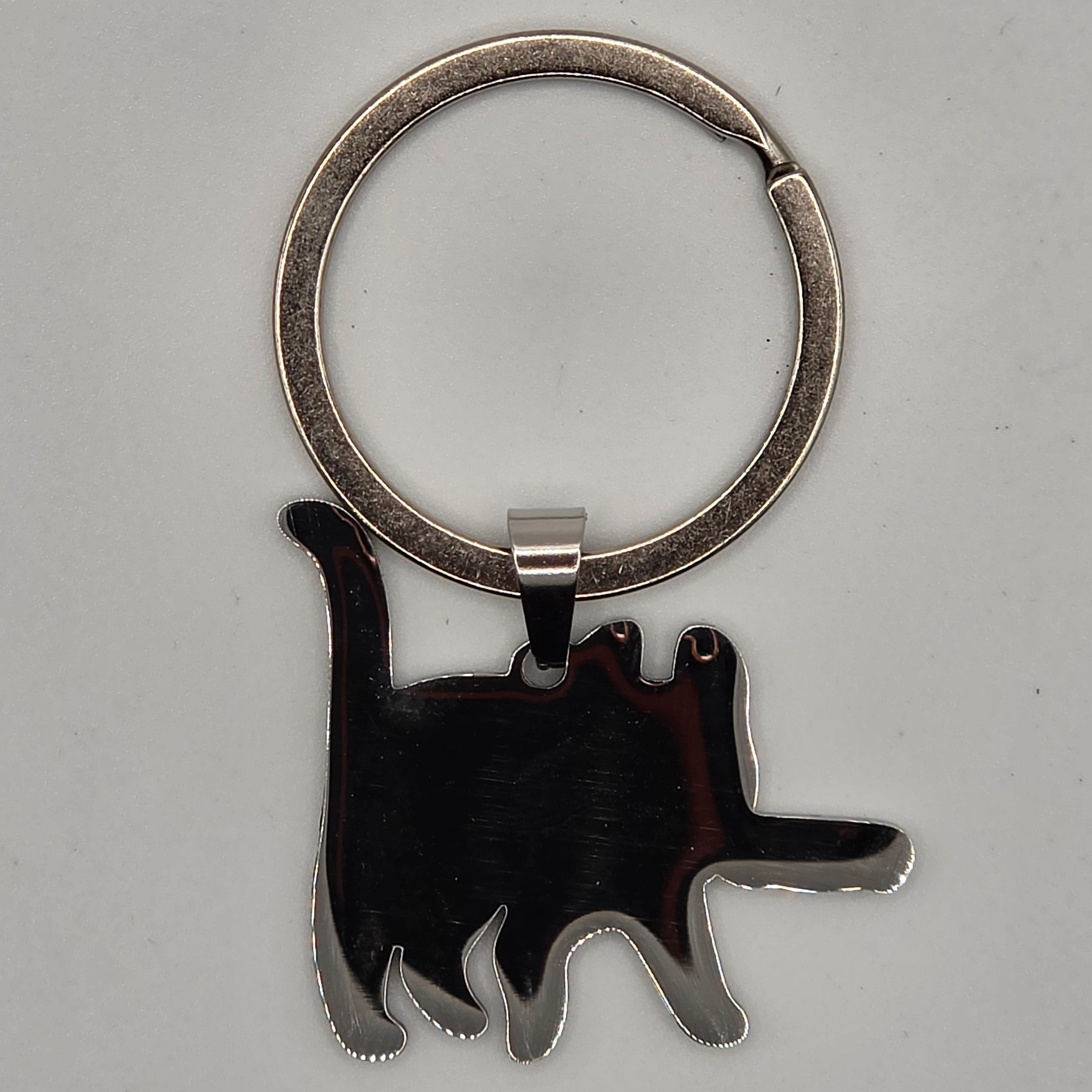 Mischief Cat ID
