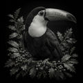 Black and white toucan surrounded by leaves and berries on a black background