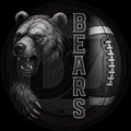 Sport, Bears