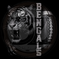 Sport, Bengals