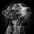 Dog, Catahoula