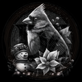 Bird, Bloom and Beak 3