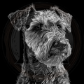 Dog, Airedale Terrier 2