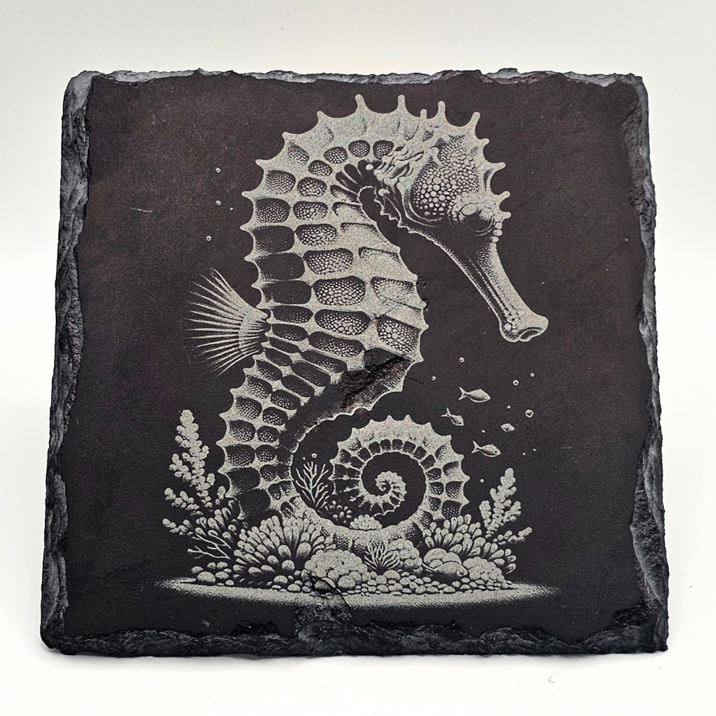 Slate coaster with a engraved seahorse design on a white background