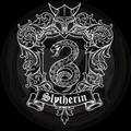 Harry Potter, Slytherin’s Ascent 2