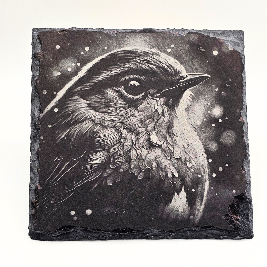 Bird, Robin
