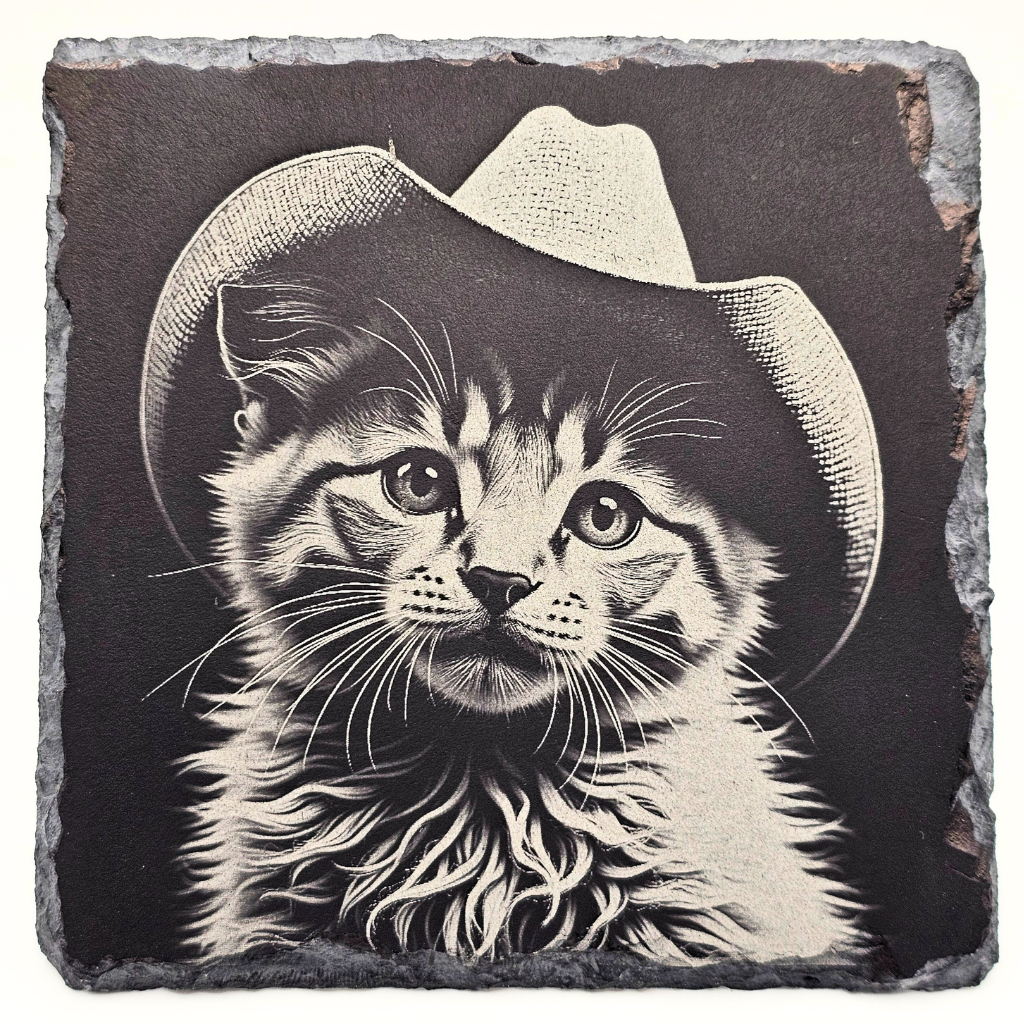 Cat, The Good, the Bad, and the Furry 1