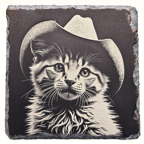 Cat, The Good, the Bad, and the Furry 1