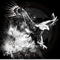 Eagle Art 4