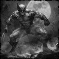 Superhero, Wolverine