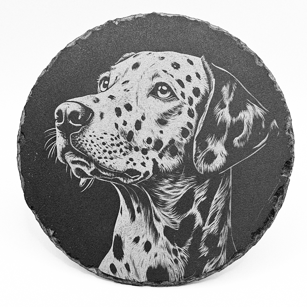 Round slate coaster with a black and white dalmatian dog illustration on a white background
