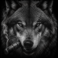 Wolf smoking a cigar with a brand logo, black and white photo