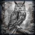 Black and white owl illustration in a forest setting