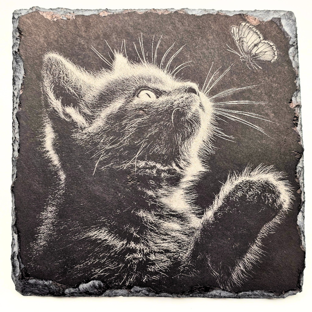 Cat, Catch Me If You Can