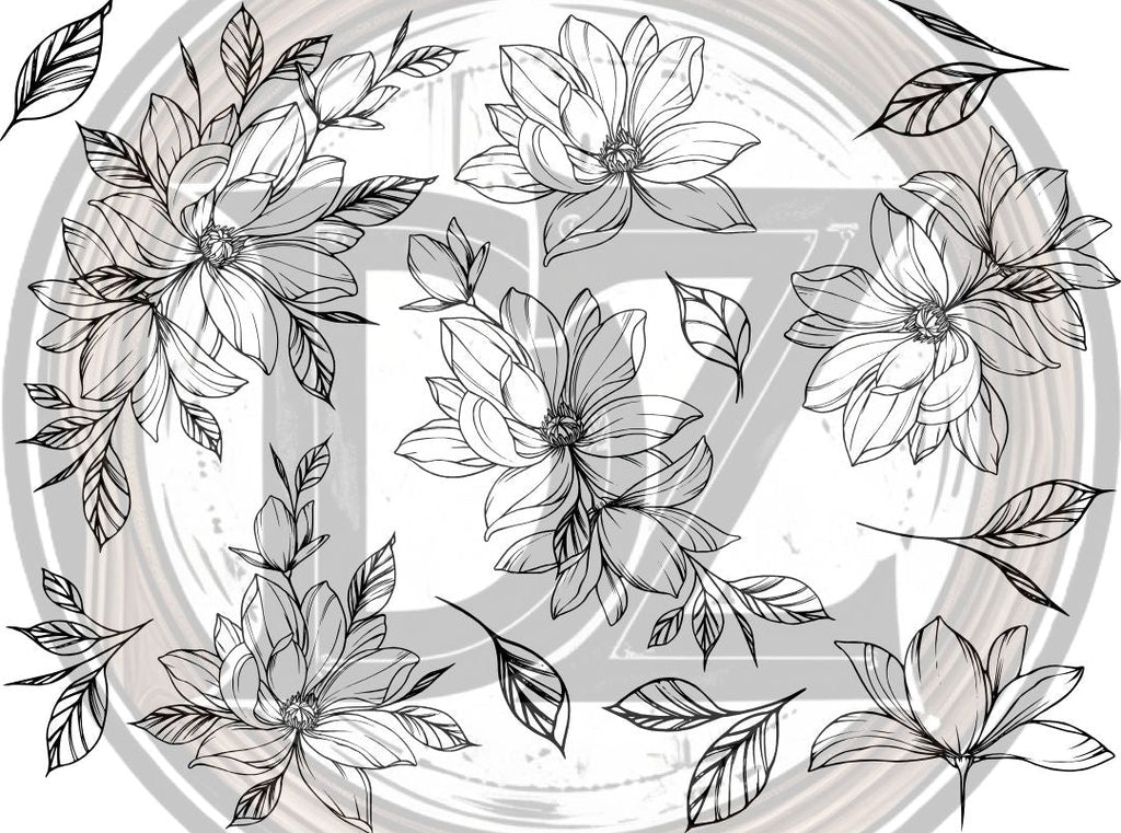 Decorative floral elements on a white background