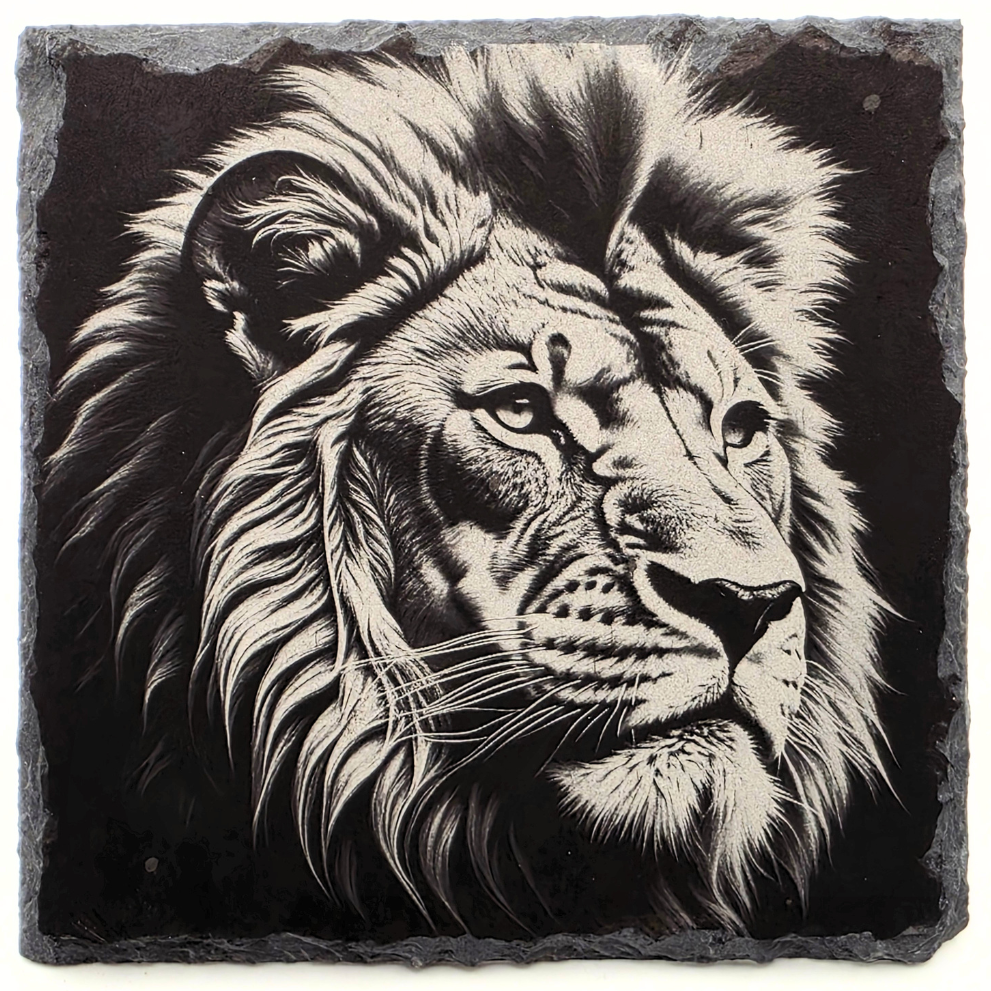 Black and white lion head design on a slate background
