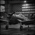 Vintage airplane in front of a large American flag inside a hangar.