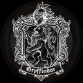 Harry Potter, Gryffindor’s Pride 2