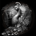 Black and white illustration of a peacock with detailed feathers