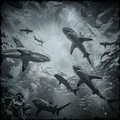 Black and white underwater scene with sharks swimming near coral.