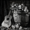 Guitar, wooden barrel, and flowers on a dark background