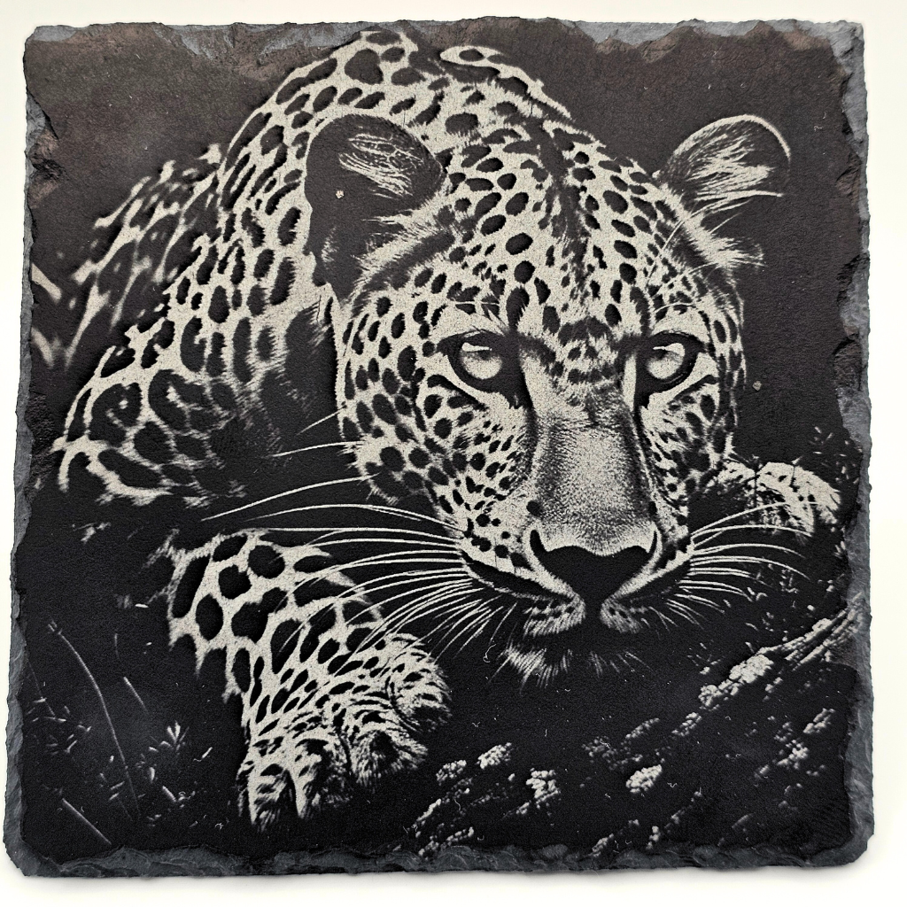 Leopard Close-Up 2