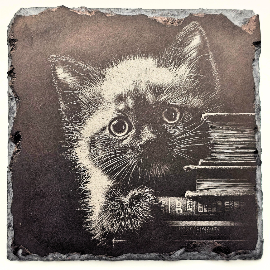 Cat, The Little Librarian