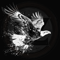 Eagle Art 2
