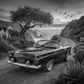 Vintage convertible car on a scenic coastal road with a tree and ocean view.