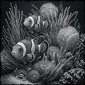 Two clownfish swimming among coral in a black and white illustration.