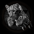 Leopard Close-Up 3