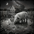 Pig standing in a pond with a rustic house and starry night sky in the background