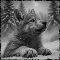 Wolf cub in a snowy forest with a blurred background