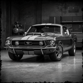 Car, Mustang Shelby