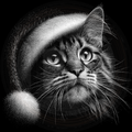 Cat, Waiting for Sleigh Bells