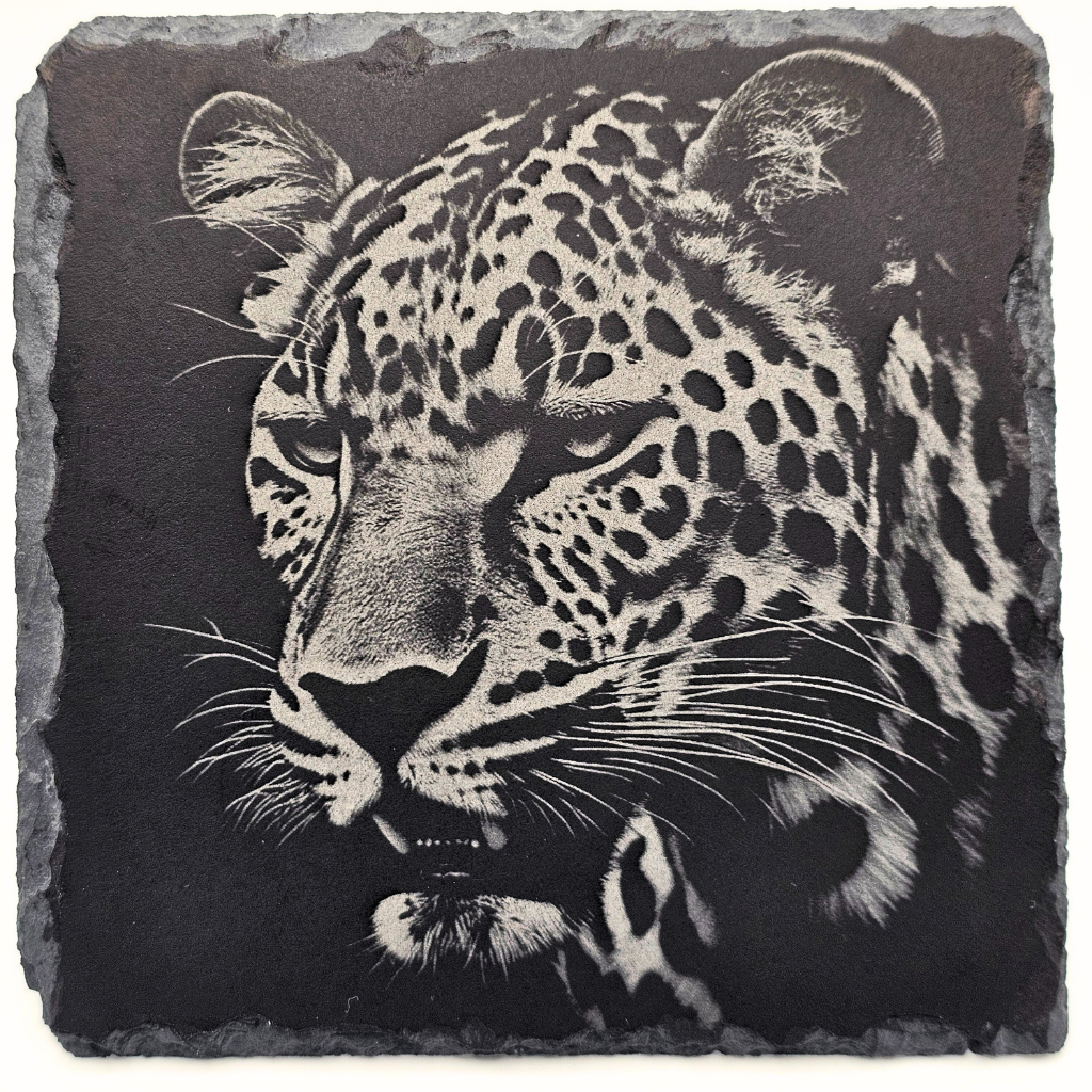 Leopard Close-Up 1