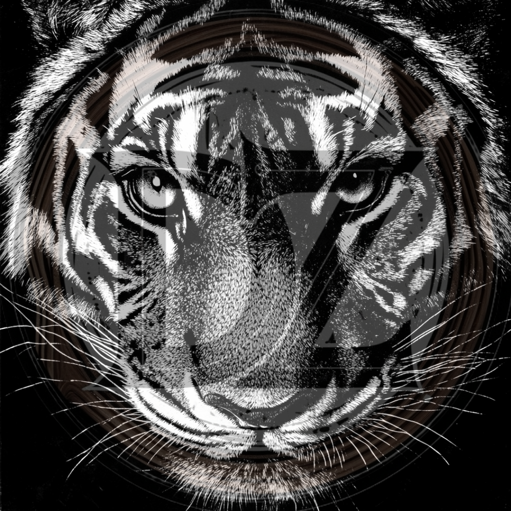 Black and white illustration of a tiger's face on a black background