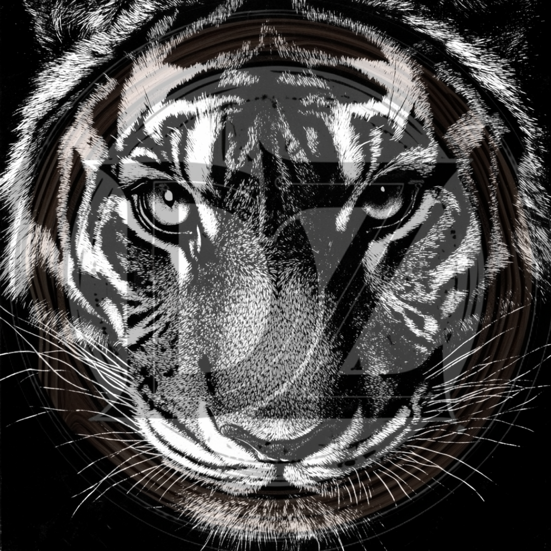Black and white illustration of a tiger's face on a black background