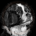 Dog, Cav-A-Jack