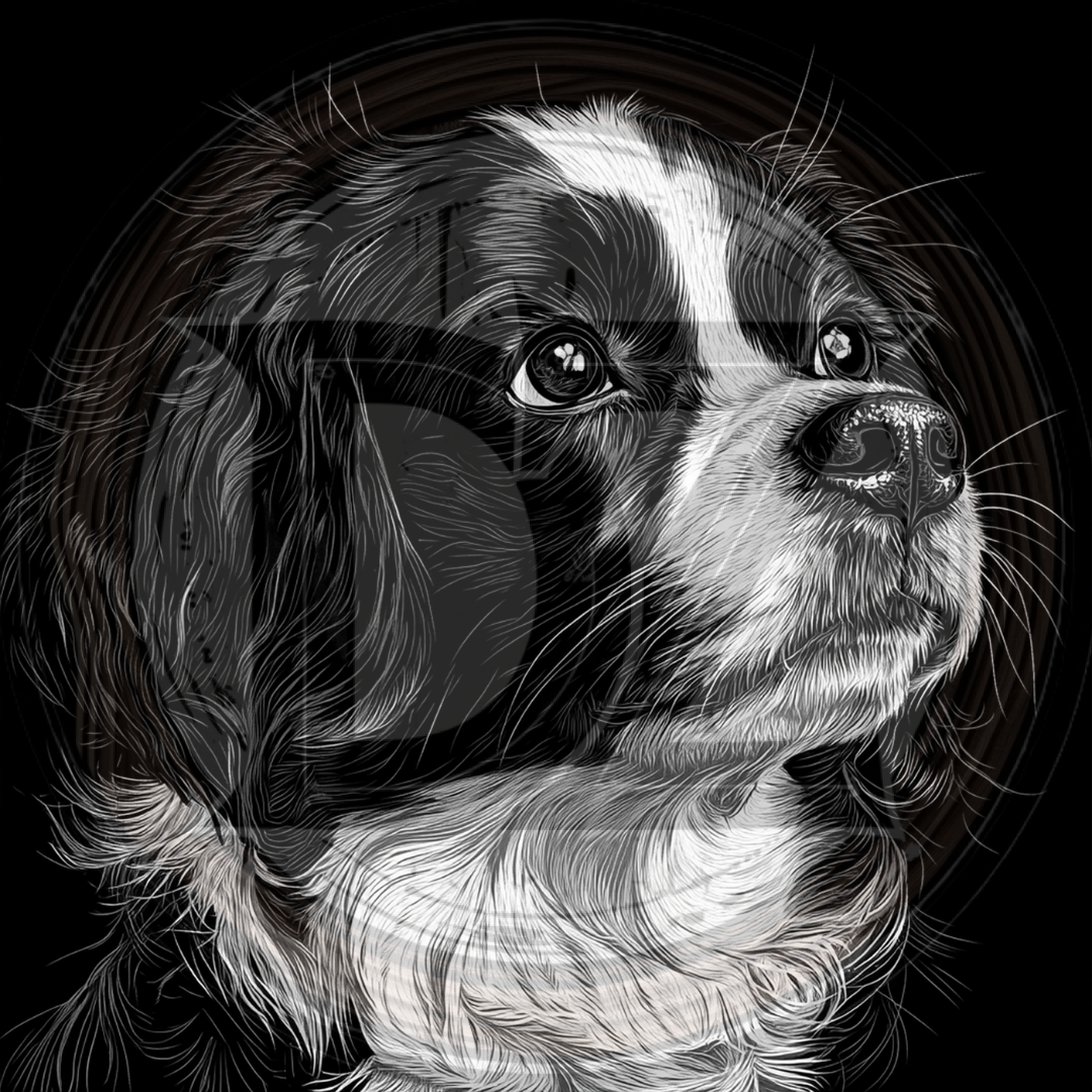 Dog, Cav-A-Jack