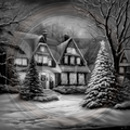 Winter, Christmas Village 2