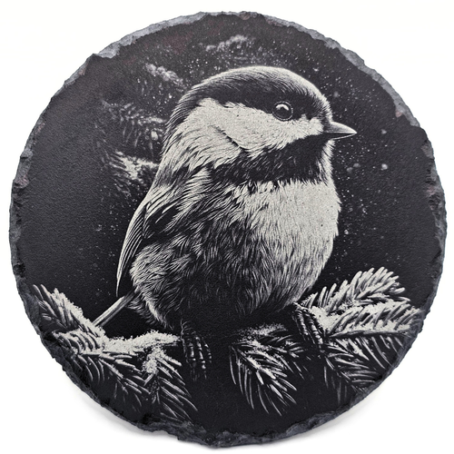 Bird, Frostfeather