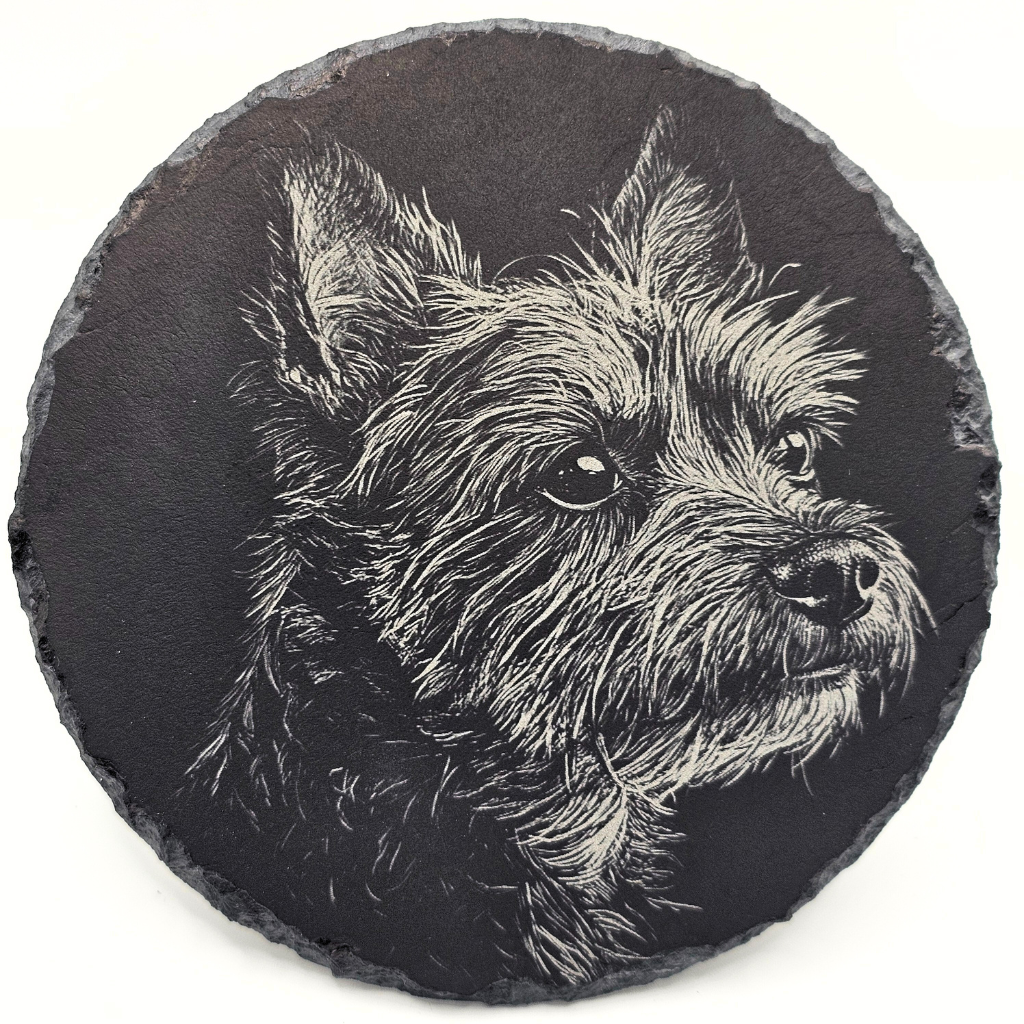 Dog, Cairn Terrier