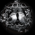 Bird, German Fairy Tale