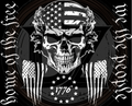 Skull wearing an American flag with text 'Home of the Free' and 'We the People' on a black background.