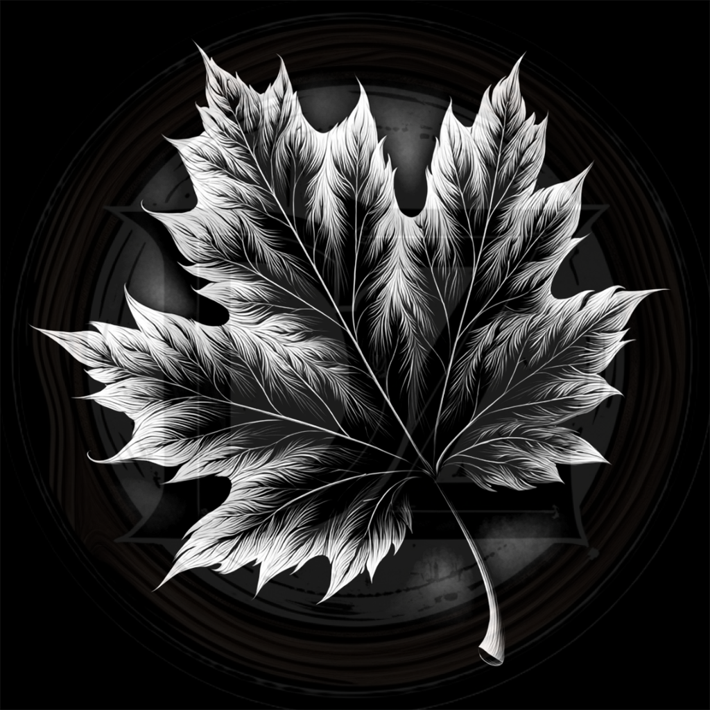 Black and white illustration of a detailed leaf on a dark background