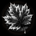 Black and white illustration of a detailed leaf on a dark background