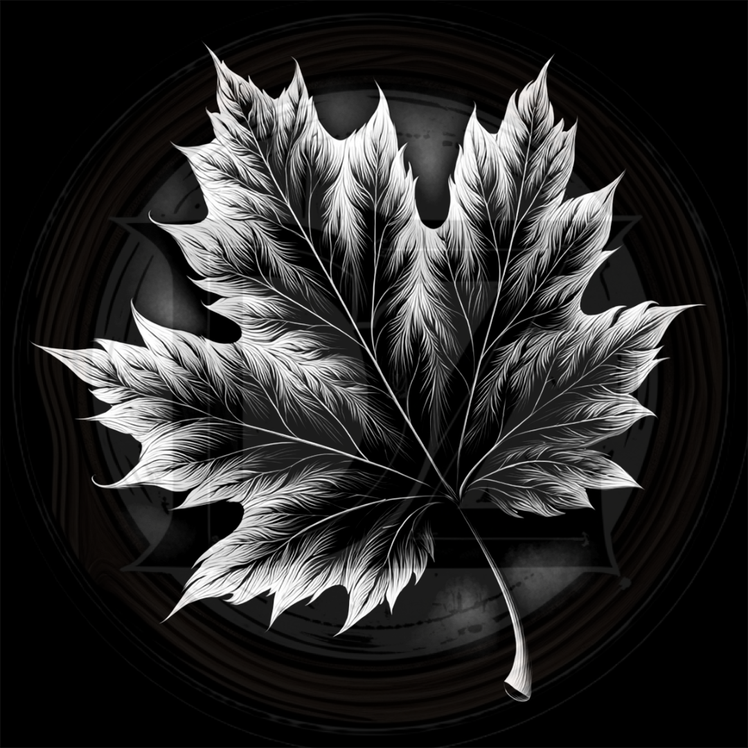 Black and white illustration of a detailed leaf on a dark background